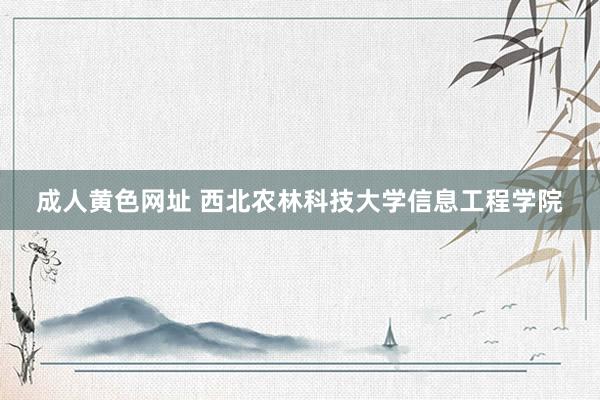 成人黄色网址 西北农林科技大学信息工程学院