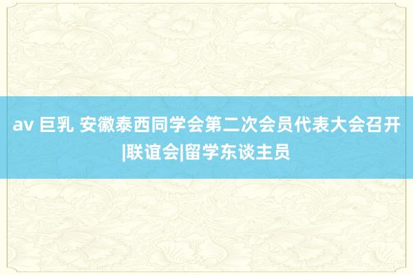 av 巨乳 安徽泰西同学会第二次会员代表大会召开|联谊会|留学东谈主员