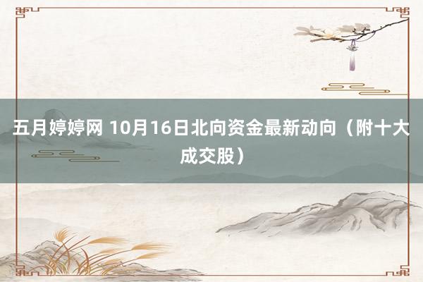 五月婷婷网 10月16日北向资金最新动向（附十大成交股）