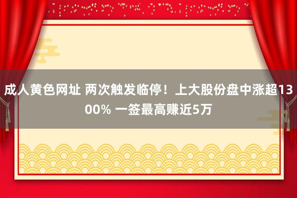 成人黄色网址 两次触发临停！上大股份盘中涨超1300% 一签最高赚近5万