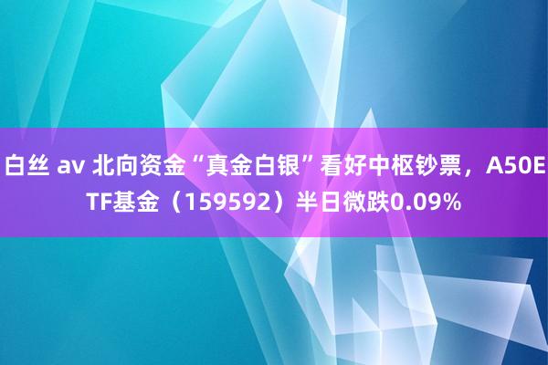 白丝 av 北向资金“真金白银”看好中枢钞票，A50ETF基金（159592）半日微跌0.09%