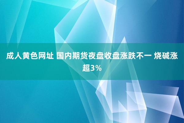 成人黄色网址 国内期货夜盘收盘涨跌不一 烧碱涨超3%