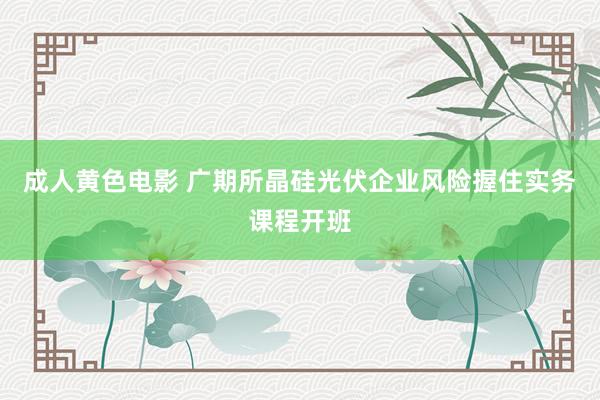 成人黄色电影 广期所晶硅光伏企业风险握住实务课程开班