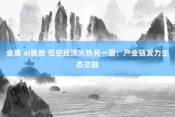 金晨 ai换脸 低空经济火热另一面：产业链发力生态交融