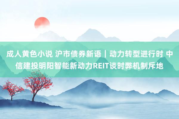 成人黄色小说 沪市债券新语｜动力转型进行时 中信建投明阳智能新动力REIT谈时弊机制斥地