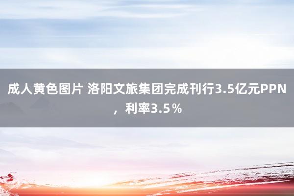 成人黄色图片 洛阳文旅集团完成刊行3.5亿元PPN，利率3.5％