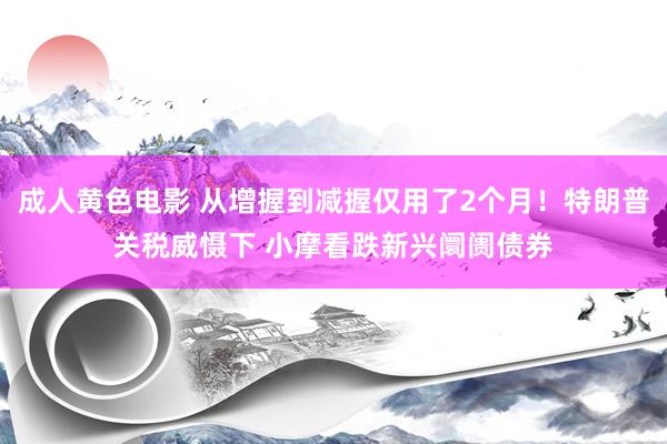 成人黄色电影 从增握到减握仅用了2个月！特朗普关税威慑下 小摩看跌新兴阛阓债券