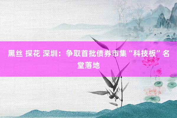 黑丝 探花 深圳：争取首批债券市集“科技板”名堂落地