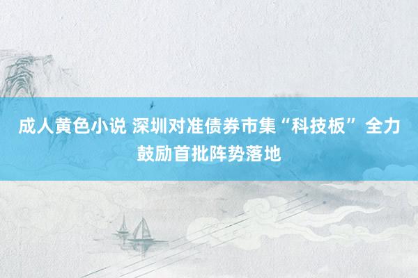 成人黄色小说 深圳对准债券市集“科技板” 全力鼓励首批阵势落地