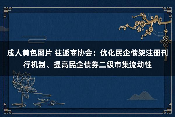 成人黄色图片 往返商协会：优化民企储架注册刊行机制、提高民企债券二级市集流动性