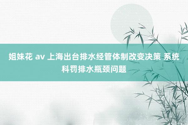 姐妹花 av 上海出台排水经管体制改变决策 系统科罚排水瓶颈问题